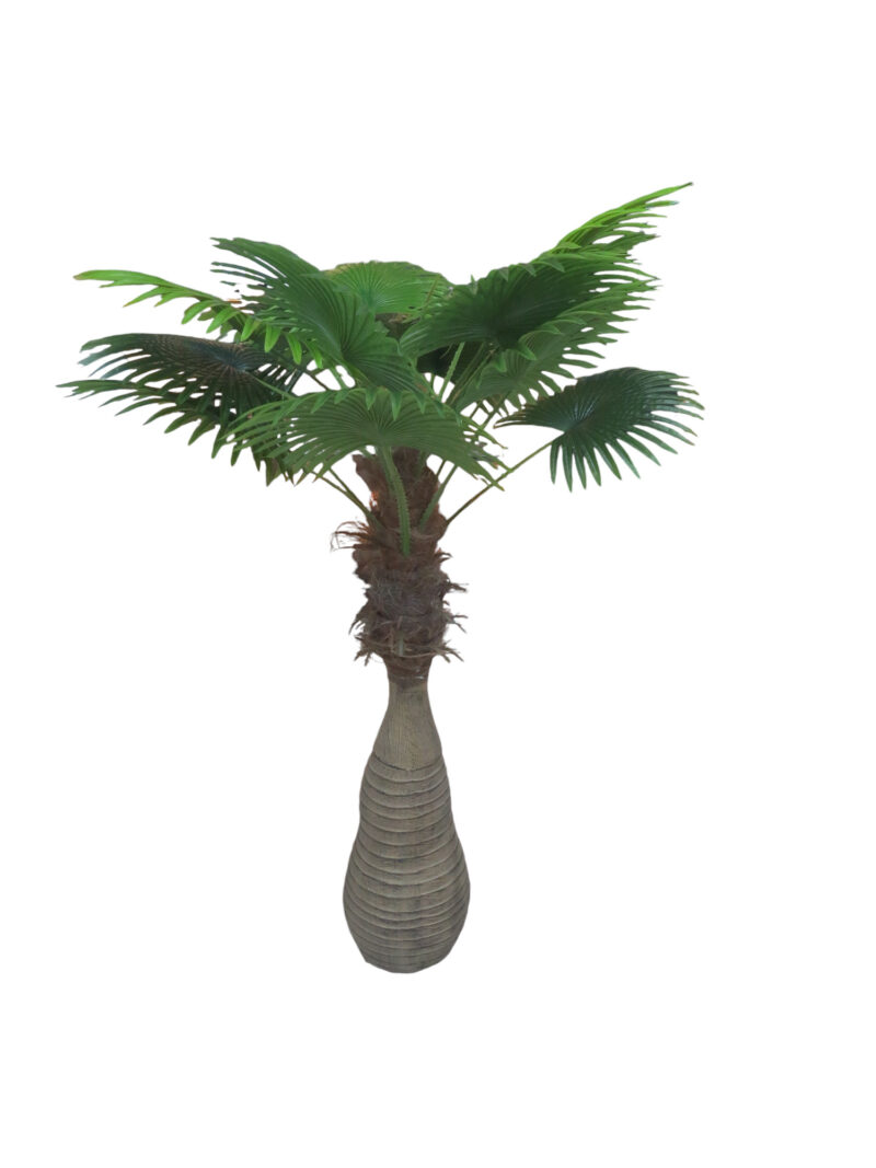 AHF-0002024-062  Home Decor plant