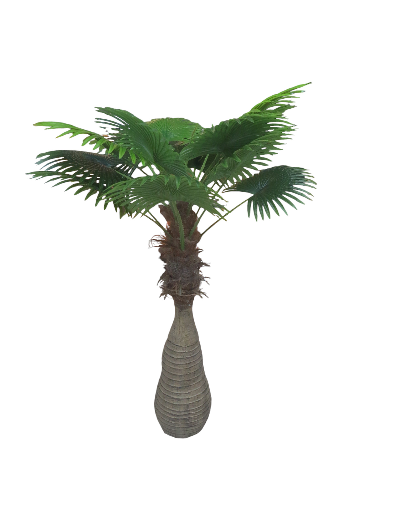 AHF-0002024-062  Home Decor plant