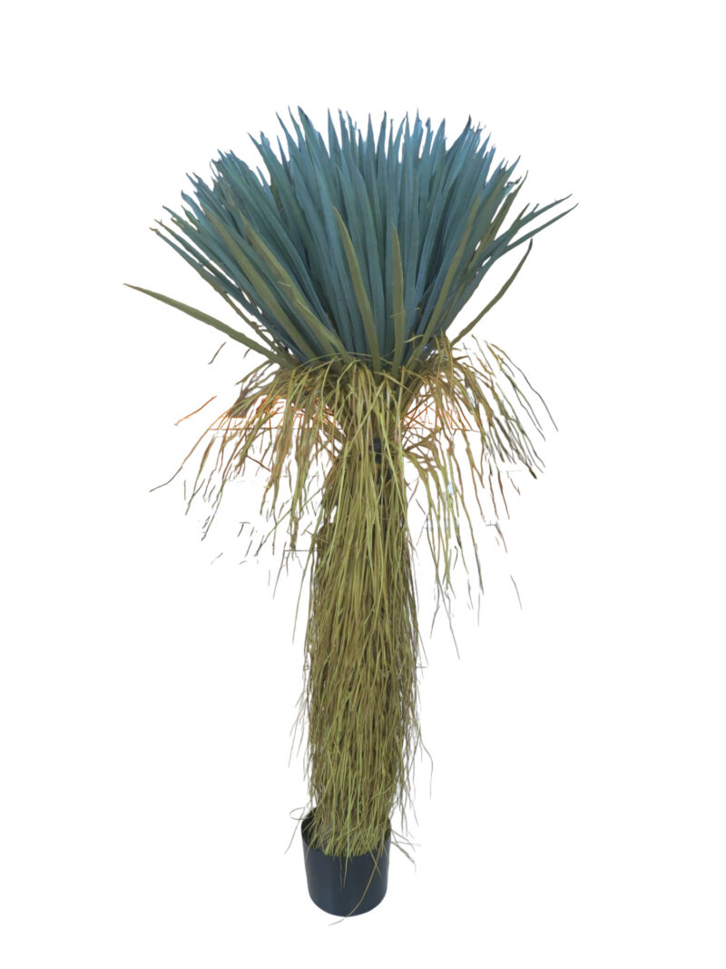 AHF-0002024-064 Home Decor plant