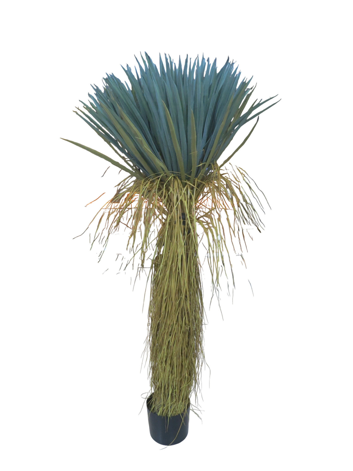 AHF-0002024-064 Home Decor plant