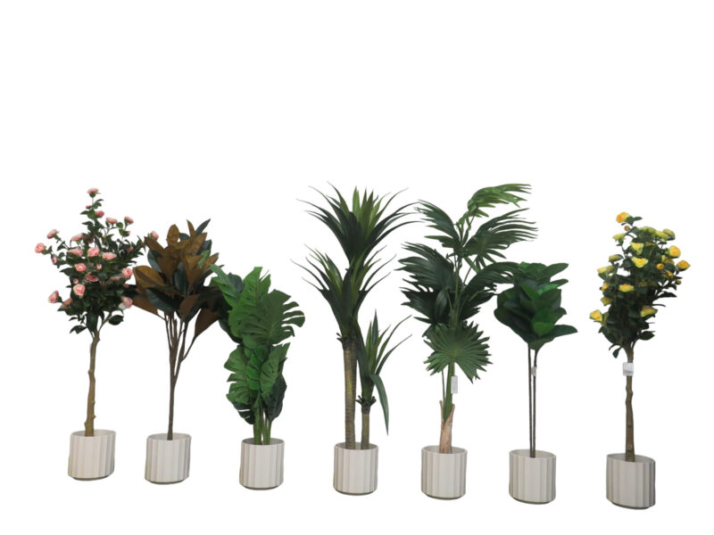 AHF-0002024-063 Home Decor Plants